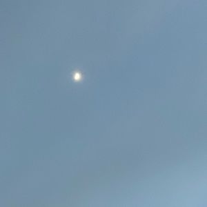 Meet your Posher, Mia